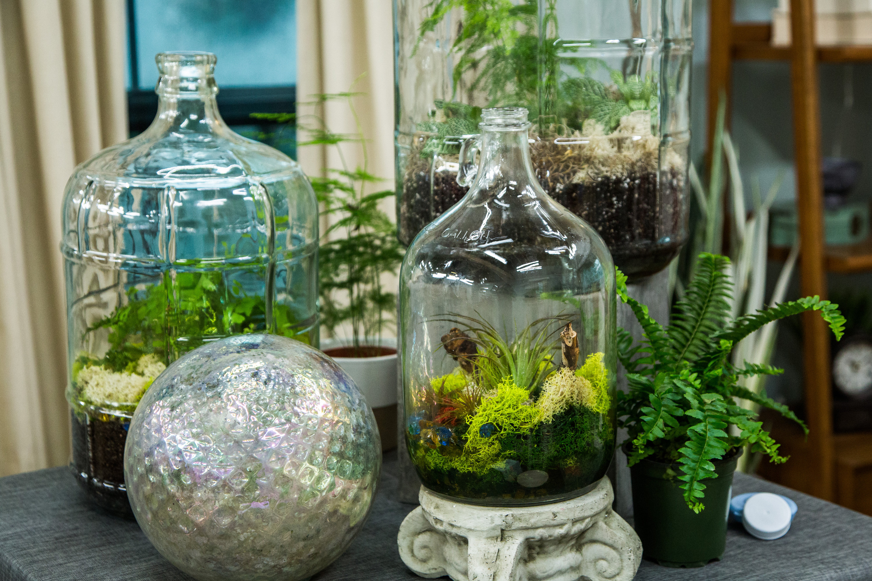 British grandfather created an ecosystem in a bottle